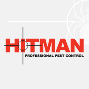 Pest Control tips while working from home